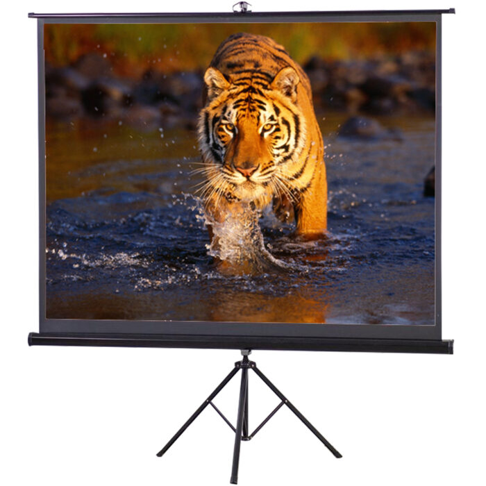 Projector Screen 120 inch Tripod Portable 6x8 Feet 4:3MW Speed-X